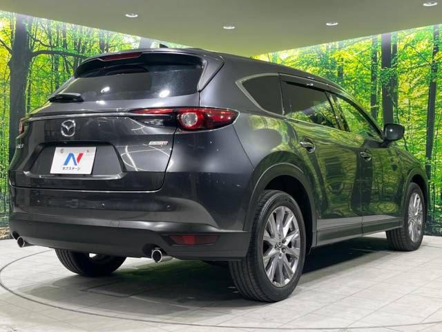 Mazda CX-8 2019-12 194164-17
