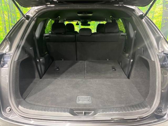 Mazda CX-8 2019-12 194164-10