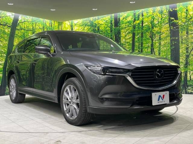 Mazda CX-8 2019-12 194164-16