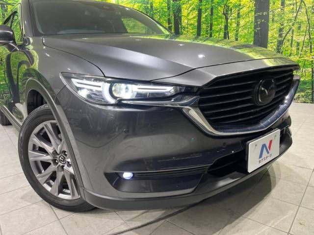 Mazda CX-8 2019-12 194164-12