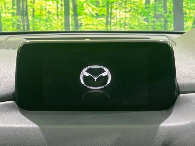 Mazda CX-8 2019-12 194164-2