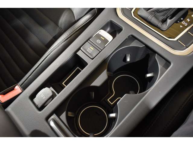VolksWagen PASSAT ALLTRACK 2019-02 16121-14
