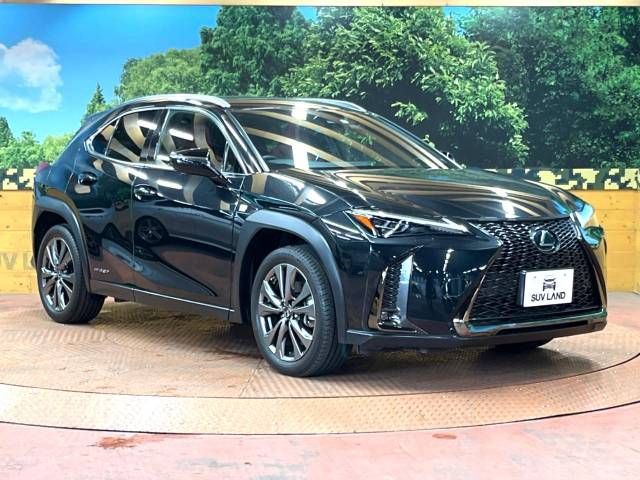 Lexus UX 2019-10 4121-18