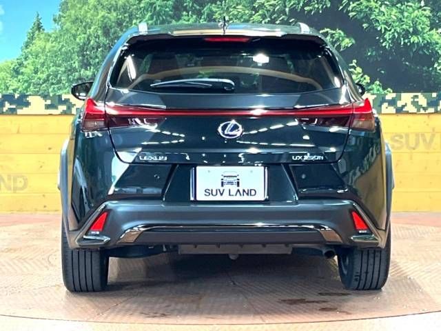 Lexus UX 2019-10 4121-17