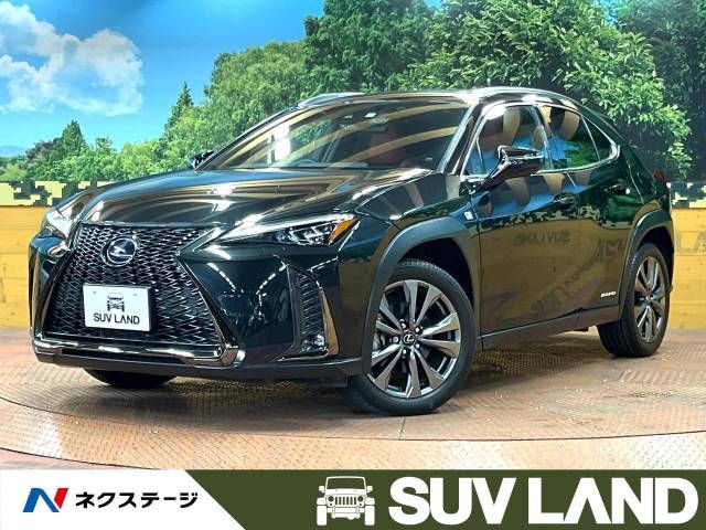 Lexus UX 2019-10 4121-0