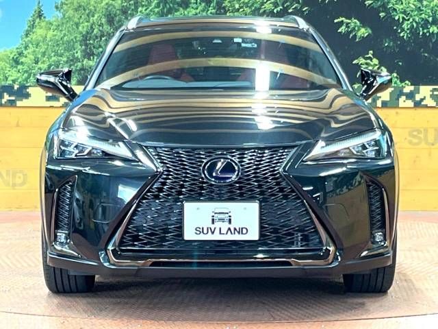 Lexus UX 2019-10 4121-16