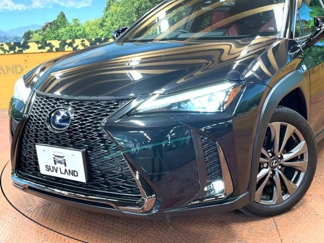 Lexus UX 2019-10 4121-12
