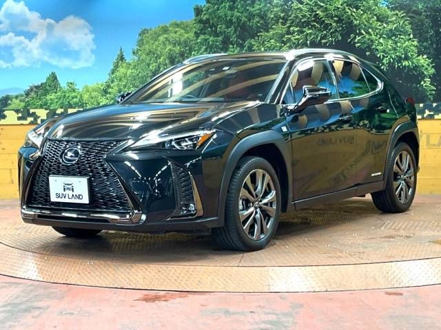Lexus UX 2019-10 4121-19