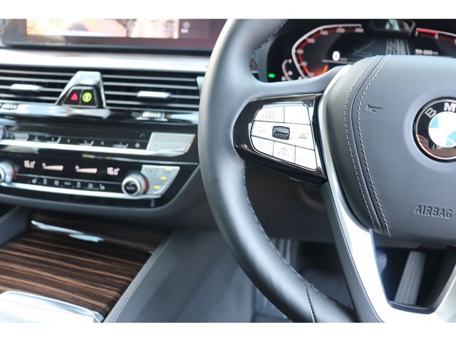 Bmw 5 SERIES 2021-07 189807-13