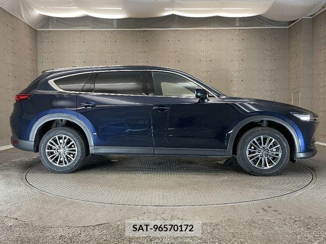 Mazda CX-8 2021-03 248303-8