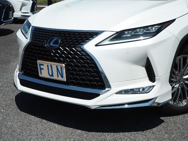 Lexus RX 2019-10 4526-6