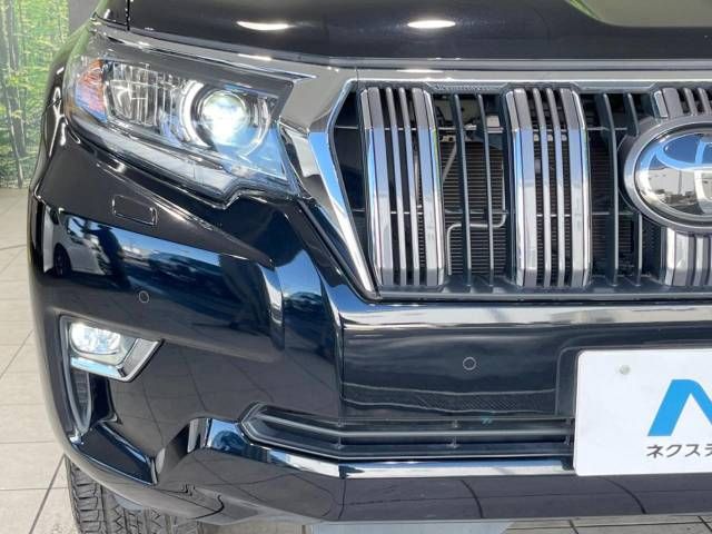 Toyota PRADO 2019-09 185159-13