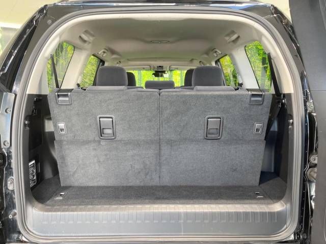 Toyota PRADO 2019-09 185159-11