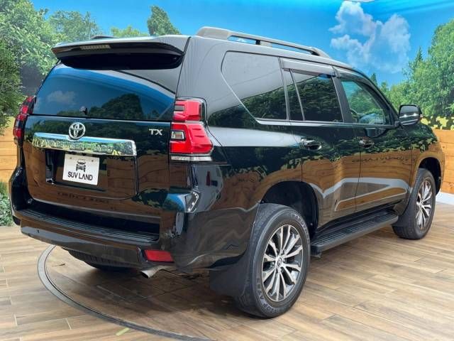 Toyota PRADO 2019-03 4555-16