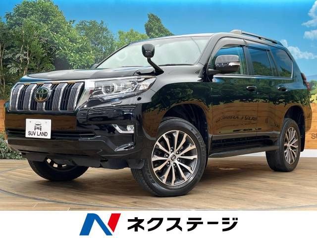 Toyota PRADO 2019-03 4555-0