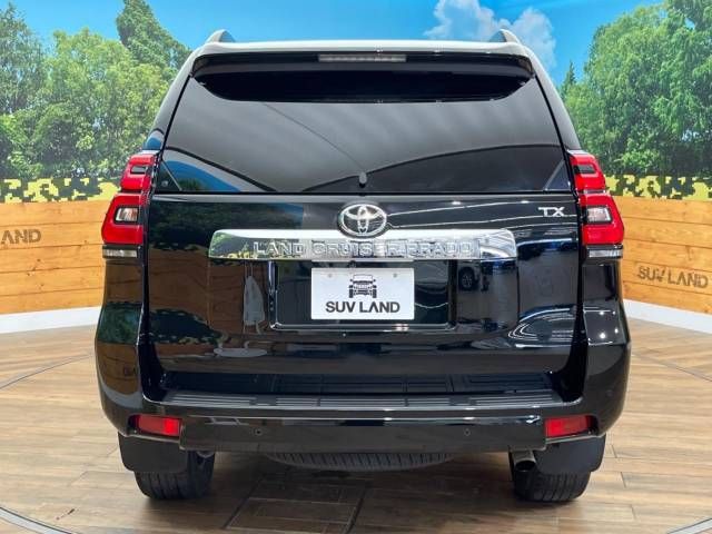 Toyota PRADO 2019-03 4555-14