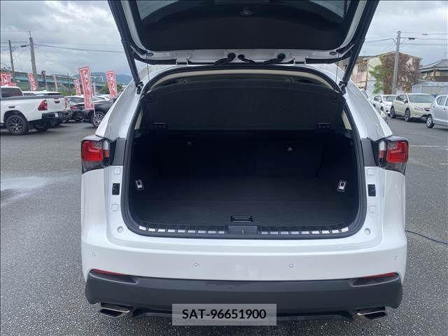 Lexus NX 2017-04 299729-14