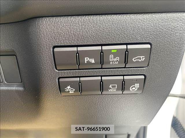 Lexus NX 2017-04 299729-10