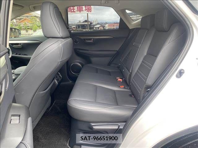 Lexus NX 2017-04 299729-5