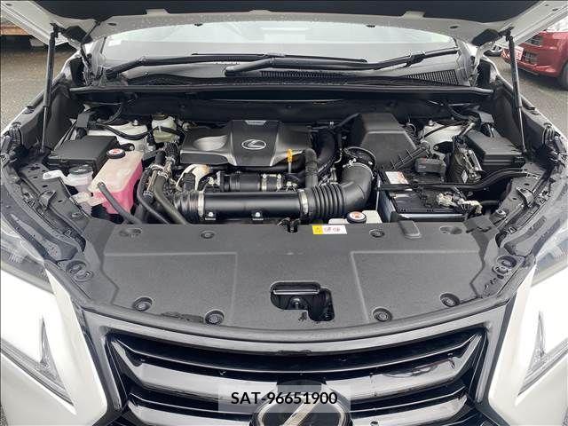 Lexus NX 2017-04 299729-17