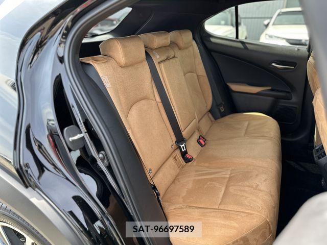 Lexus UX 2023-01 313523-14