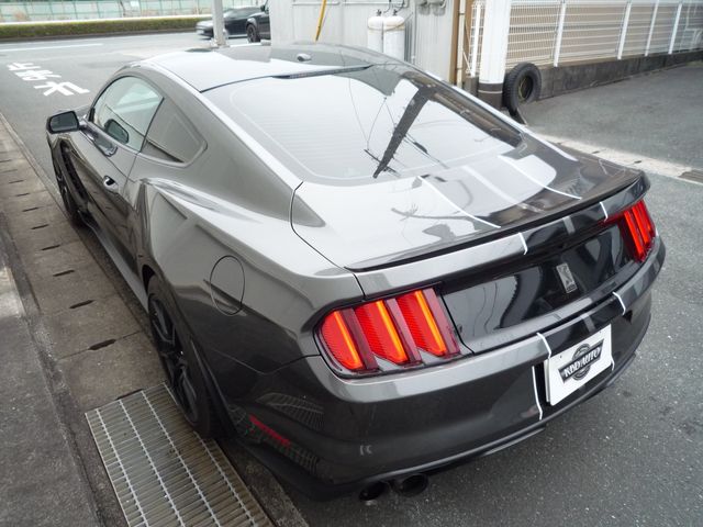 Ford FORD OTHERS 2021-06 1716-8