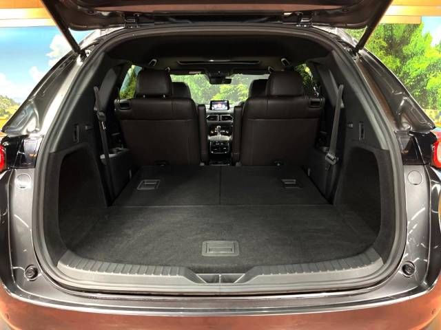 Mazda CX-8 2019-12 25215-11