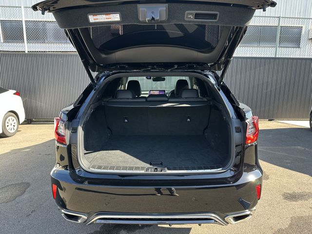 Lexus RX 2017-05 190575-4