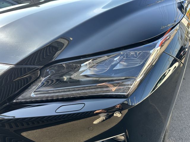 Lexus RX 2017-05 190575-25
