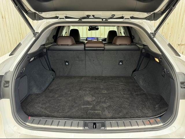 Lexus RX 2016-09 10615-17