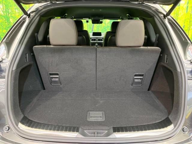 Mazda CX-8 2018-12 15326-11