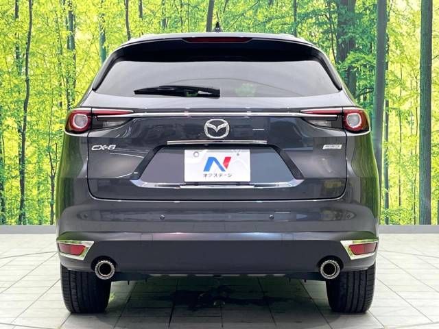 Mazda CX-8 2018-12 15326-16