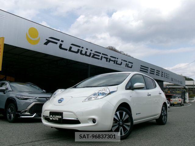 Nissan LEAF 2016-01 213165-0