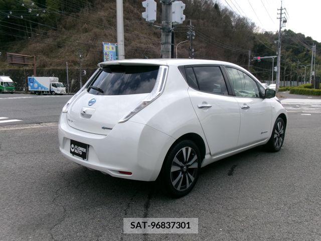 Nissan LEAF 2016-01 213165-2