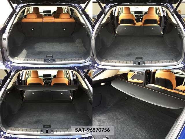 Lexus RX 2021-07 388354-7
