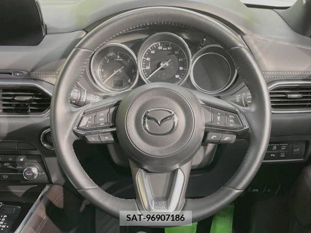 Mazda CX-8 2019-09 243491-12
