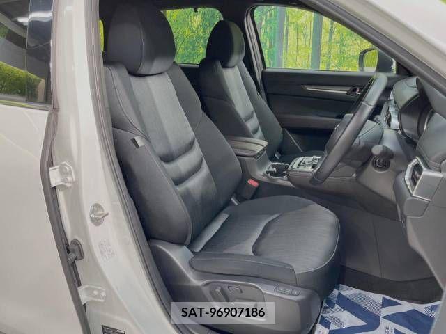 Mazda CX-8 2019-09 243491-8