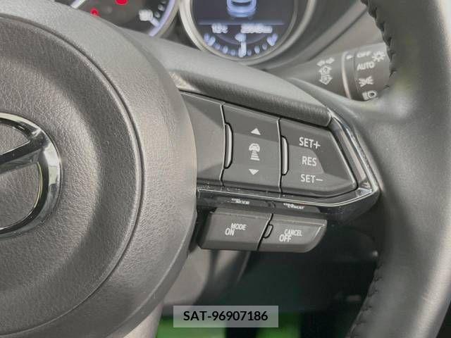 Mazda CX-8 2019-09 243491-5