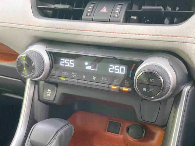 Toyota RAV4 2019-08 181881-6