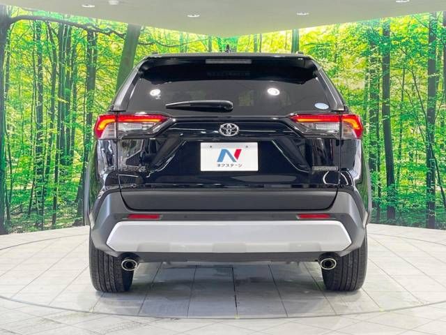 Toyota RAV4 2019-08 181881-15