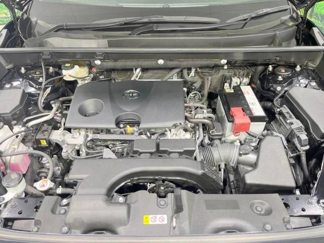 Toyota RAV4 2019-08 181881-19