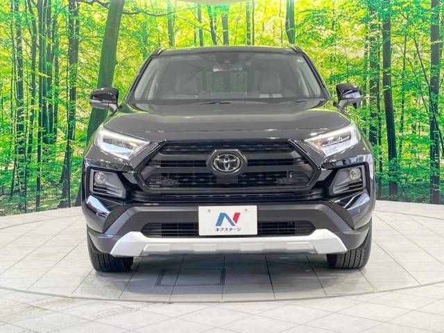 Toyota RAV4 2019-08 181881-14
