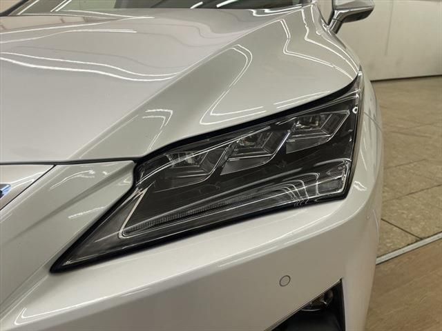 Lexus RX 2016-07 13111-8