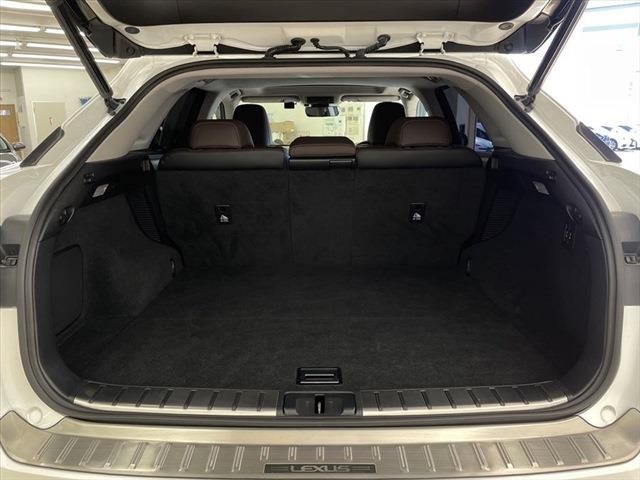 Lexus RX 2016-07 13111-23