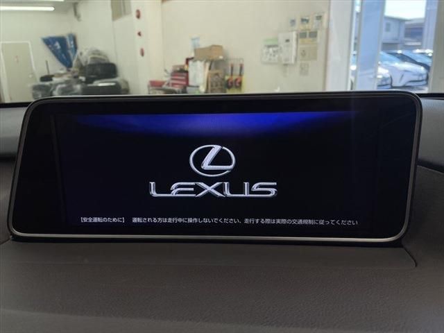 Lexus RX 2016-07 13111-26