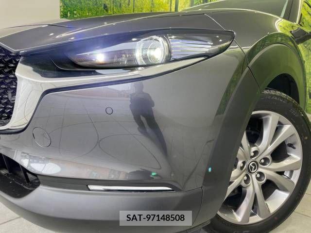 Mazda CX-30 2021-08 265580-12