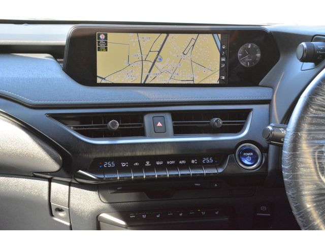 Lexus UX 2020-01 192659-8