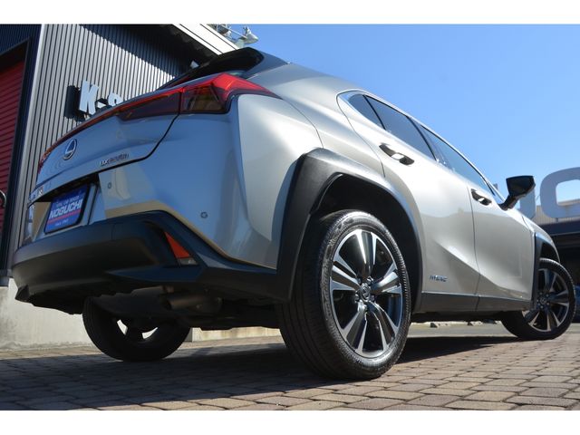 Lexus UX 2020-01 192659-21