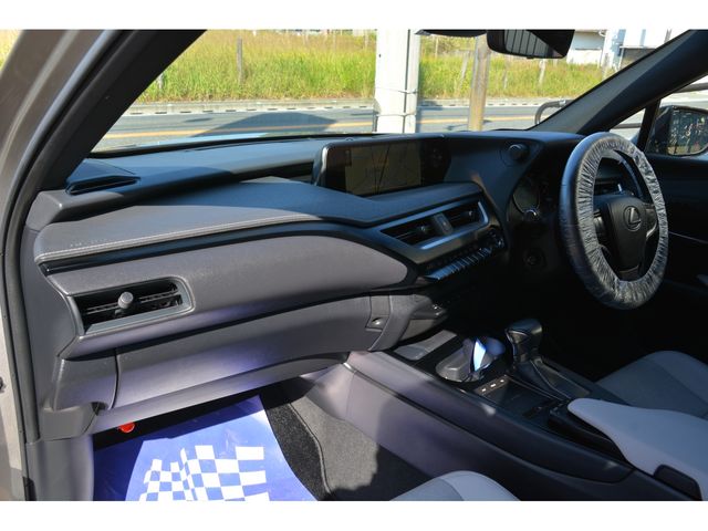 Lexus UX 2020-01 192659-14