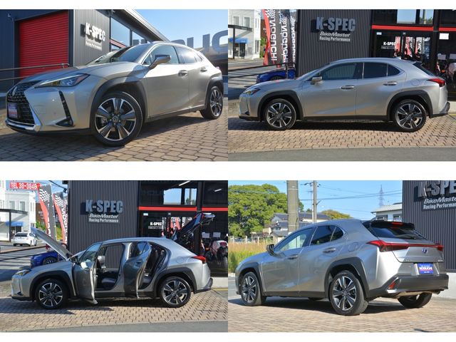 Lexus UX 2020-01 192659-25